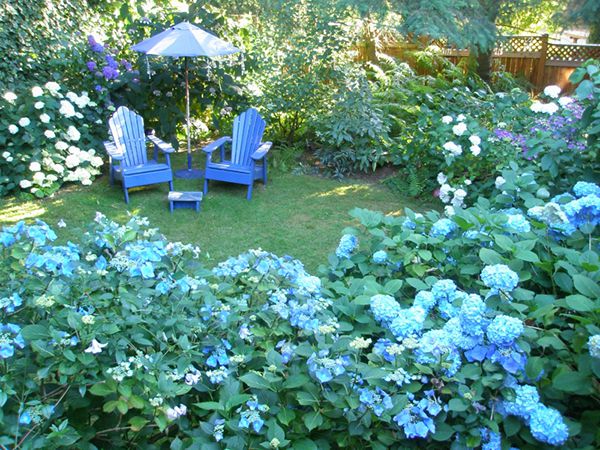 Ο μπλε κήπος